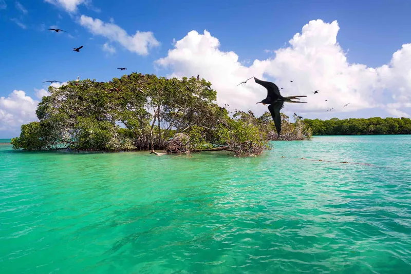 Bacalar
