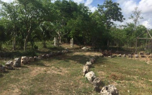 Lake Front Investment opportunity